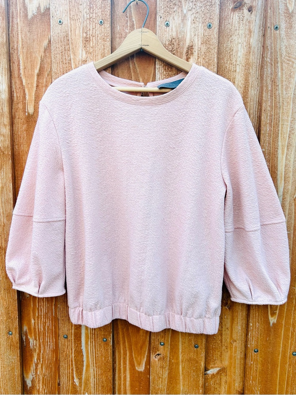 Anthropologie Sunday in Brooklyn Blush Pink Balloon Sleeve Textured Top Size S
